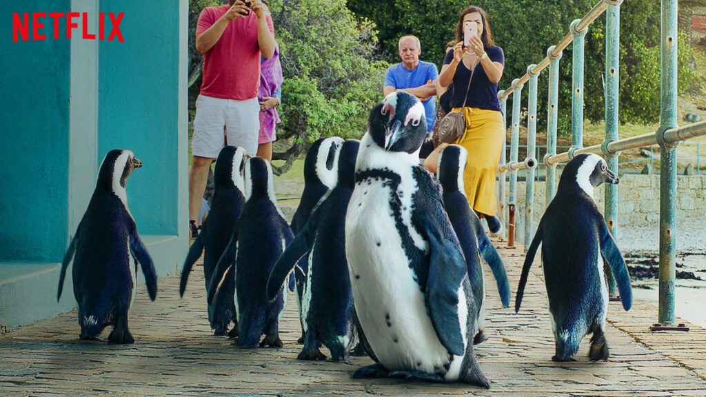 Colonia Pingüino (Penguin Town)