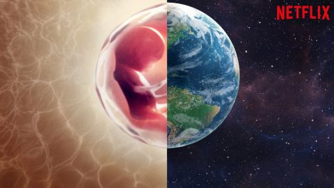 10 Documentales Sobre Ciencia y Naturaleza en Netflix