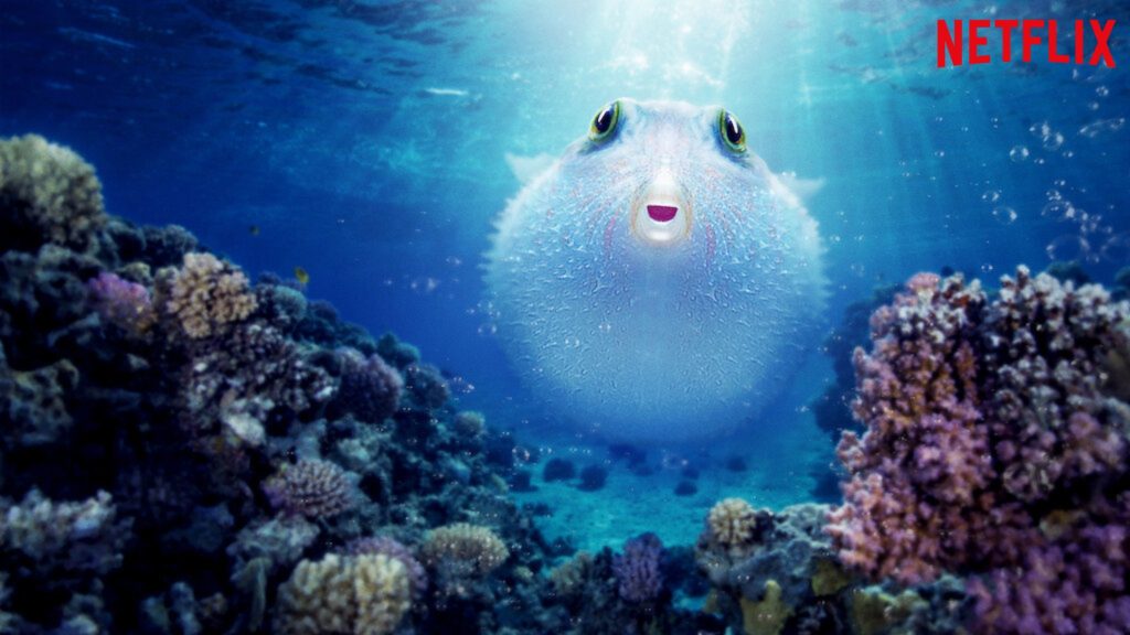Globo y las Maravillas del Arrecife (Puff Wonders of the Reef)